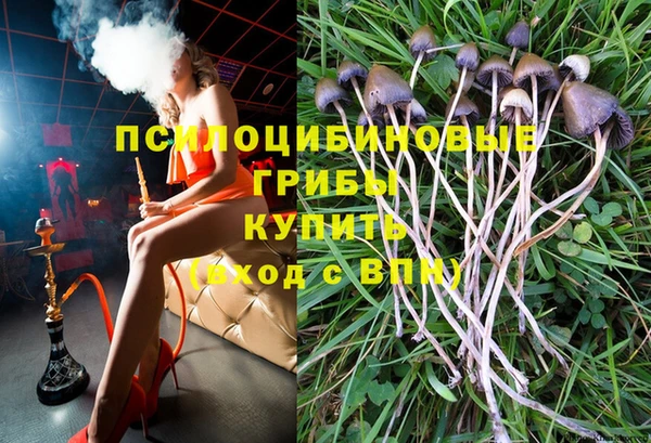 apvp Беломорск